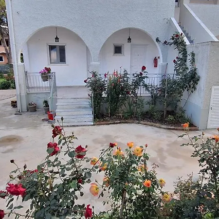 The Flower Garden