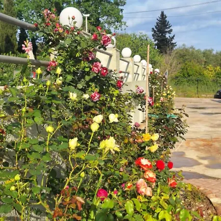 Apartahotel The Flower Garden
